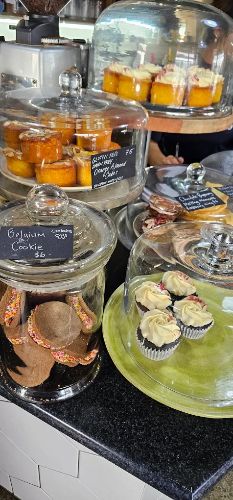 Glass jars and cake domes on the counter with Belgium cookies, cupcakes and gluten free orange almond cakes.
